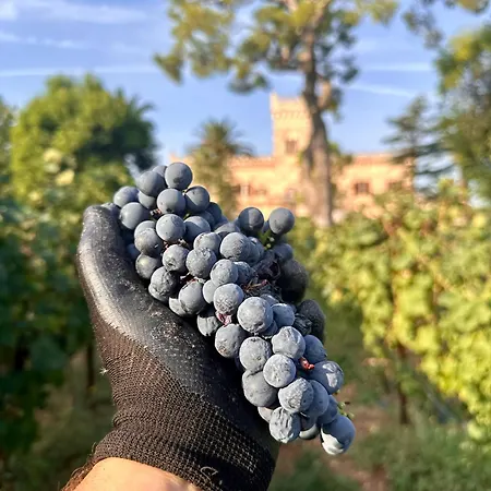 Gospodarstwo wiejskie Masseria Salamina