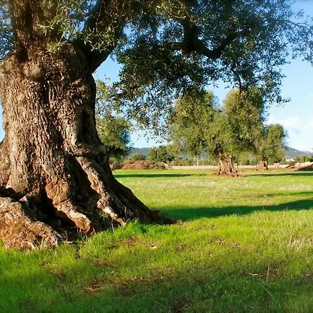 Masseria Salamina *